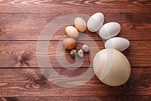 Egg of different birds on a farm photo