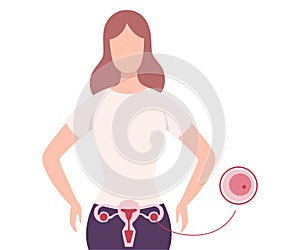 Egg Donation, Healthy Young Woman Donating Own Egg Vector Illustration