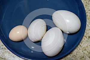 egg. Duck eggs. Close-up of the size comparison of goose eggs