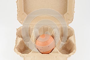 egg in an egg carton on white background.