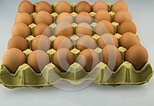 Egg and egg tray