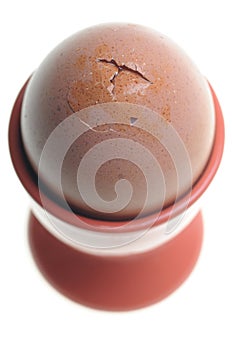 Egg in eggcup