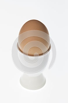 Egg in eggcup white background