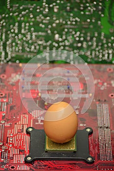 Egg into electronics cards. Start up concepts.