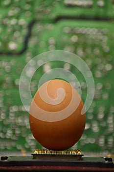 Egg into electronics cards. Start up concepts.