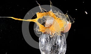 Egg exploding by a shotgun shot photo