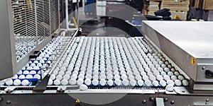 Egg factory industry poultry conveyor production