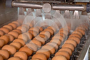 Egg factory on selecting process and grading production line