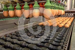 Egg factory on selecting process and grading production line