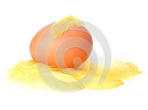 Egg and feather