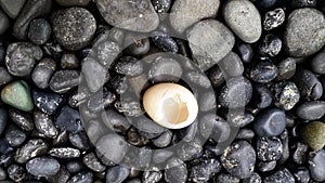 An egg without filling on a dark colar stone photo