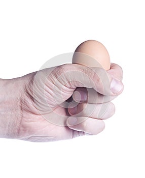 Egg in fist. Concept of fragility