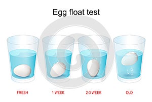 Egg floating test