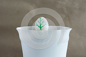 Egg in a flower pot