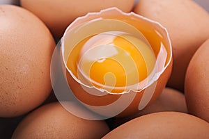 Egg food