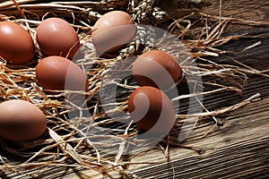 Egg. Fresh farm eggs on a wooden rustic background