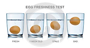 Egg Freshness Test Infographics photo