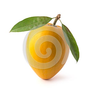 Egg fruit isolated on white background