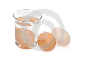 Egg in glass bowl of water. Egg freshness test isolated on white background
