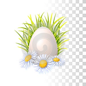 Egg, Grass And Flowers