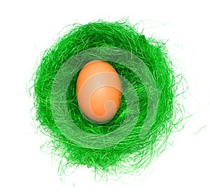 Egg in the green nest