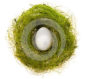 Egg in a green nest