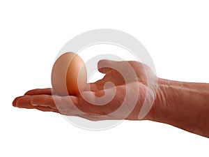 Egg in hand isolated standing