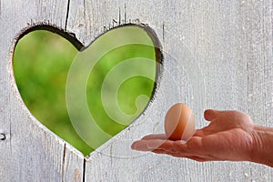 Egg in hand on wooden background with green heart