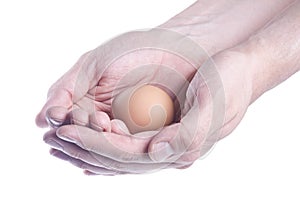 Egg in hands. Concept of care