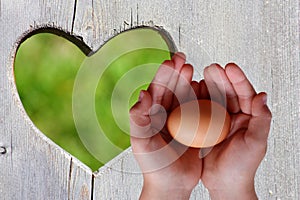 Egg in hands on wooden background with green heart