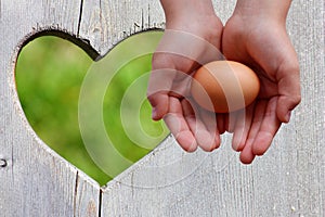 Egg in hands on wooden background with green heart