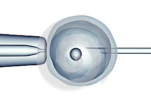 egg is holding by a pipet and a neeldle