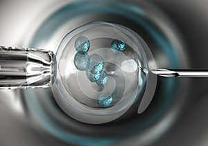 Egg is holding by a pipet and a neeldle