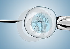 Egg is holding by a pipet and a neeldle