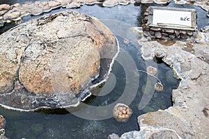 Egg in hot water spring of sulfurous pools from nine boreholes emitting waters at temperatures around 73 Ã‚Â°C