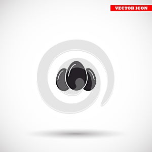egg icon vector, solid illustration
