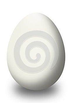 An egg isolated on white