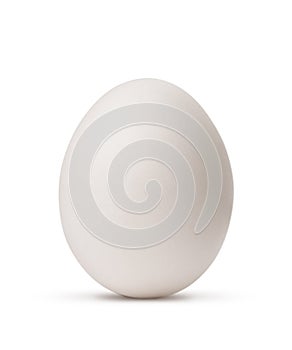 Egg isolated on white background