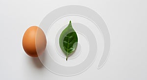 Egg and Leaf on White Background