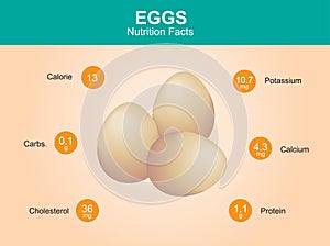 Egg nutrition facts, egg with information, eggs vector