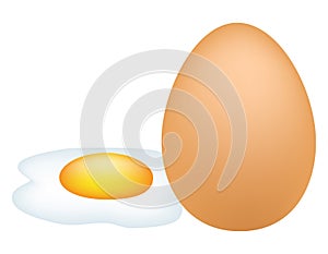 Egg with omelet