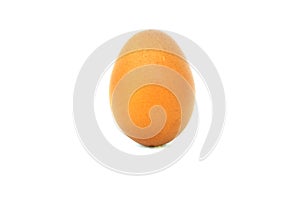 Egg one white background.