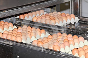 Egg packaging technology