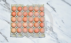 Egg that packed in paper egg carton on the table