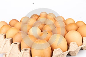 egg panel isolated on white background