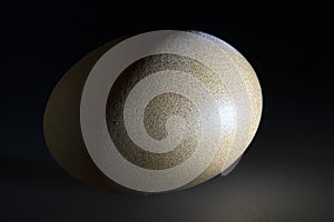 Egg in Partial Shadow Resembling an Orbiting Planet