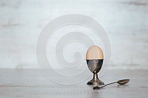Egg in the pastern on a light
