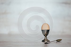 Egg in the pastern on a light