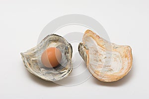 Egg pearl