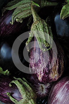 Egg Plant (Aubergines)